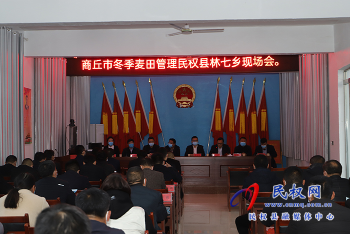 商丘市冬季麦田管理现场会在林七乡召开