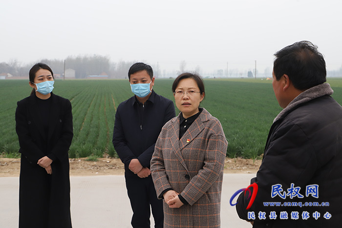 县委副书记、县长王静娴督促指导软弱涣散村党组织整顿工作